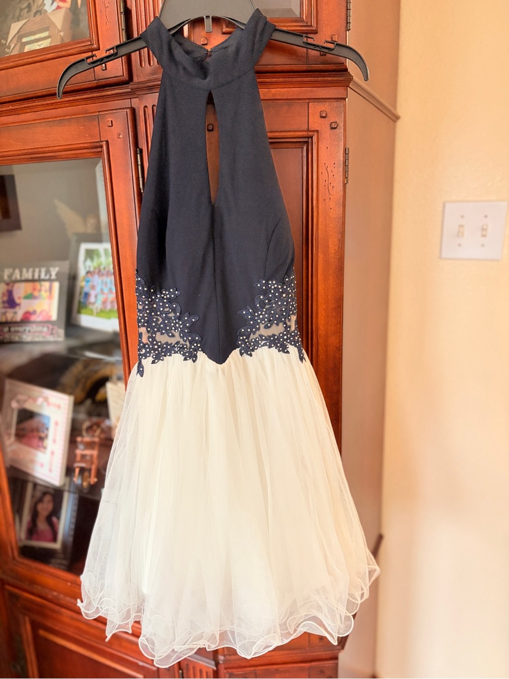 Blondie Nites Navy Dress
